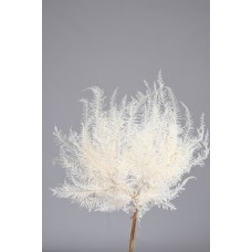 MOUNTAIN FERN SMALL  17" x 13"  Bleached